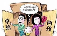 全面兩孩1周年 二孩政策全面放開最新消息