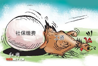 公司繳納的社保，還不如換成現金給我合適，這樣真的對嗎？